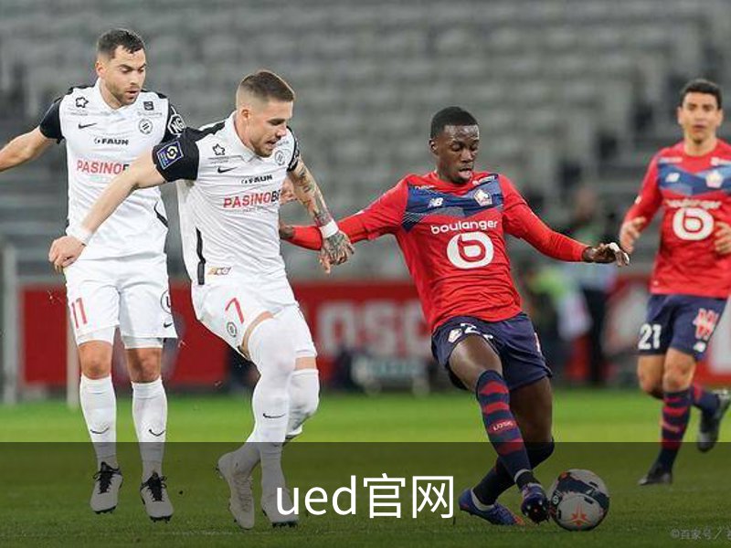 ued官网简介